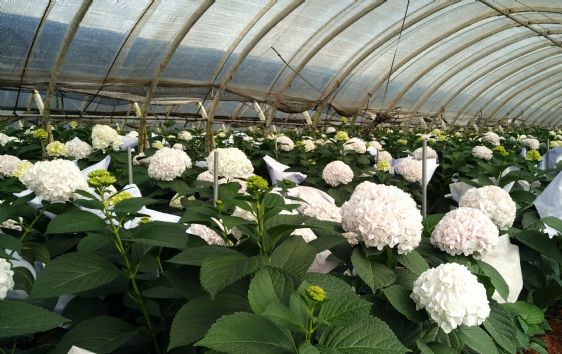 光穩定劑：塑料材料的守護神，北京天罡助劑有限公司的科技擔當