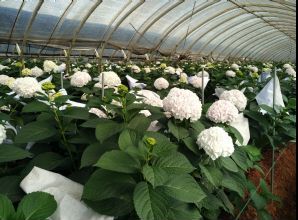 如何通過光穩(wěn)定劑降低塑料制品生命周期成本