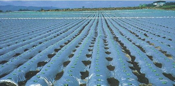 天罡光穩定劑對中溫化學鍍鎳-磷合金的影響