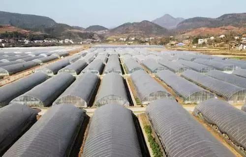 光穩定劑HS-80在載重輪胎胎肩膠中的應用