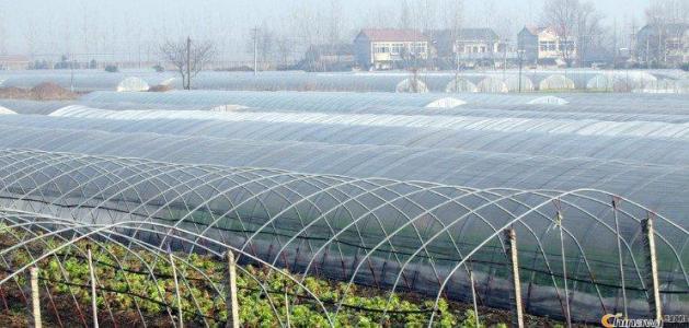 紫外線吸收劑uv531產品說明書 紫外線吸收劑uv531產品說明書