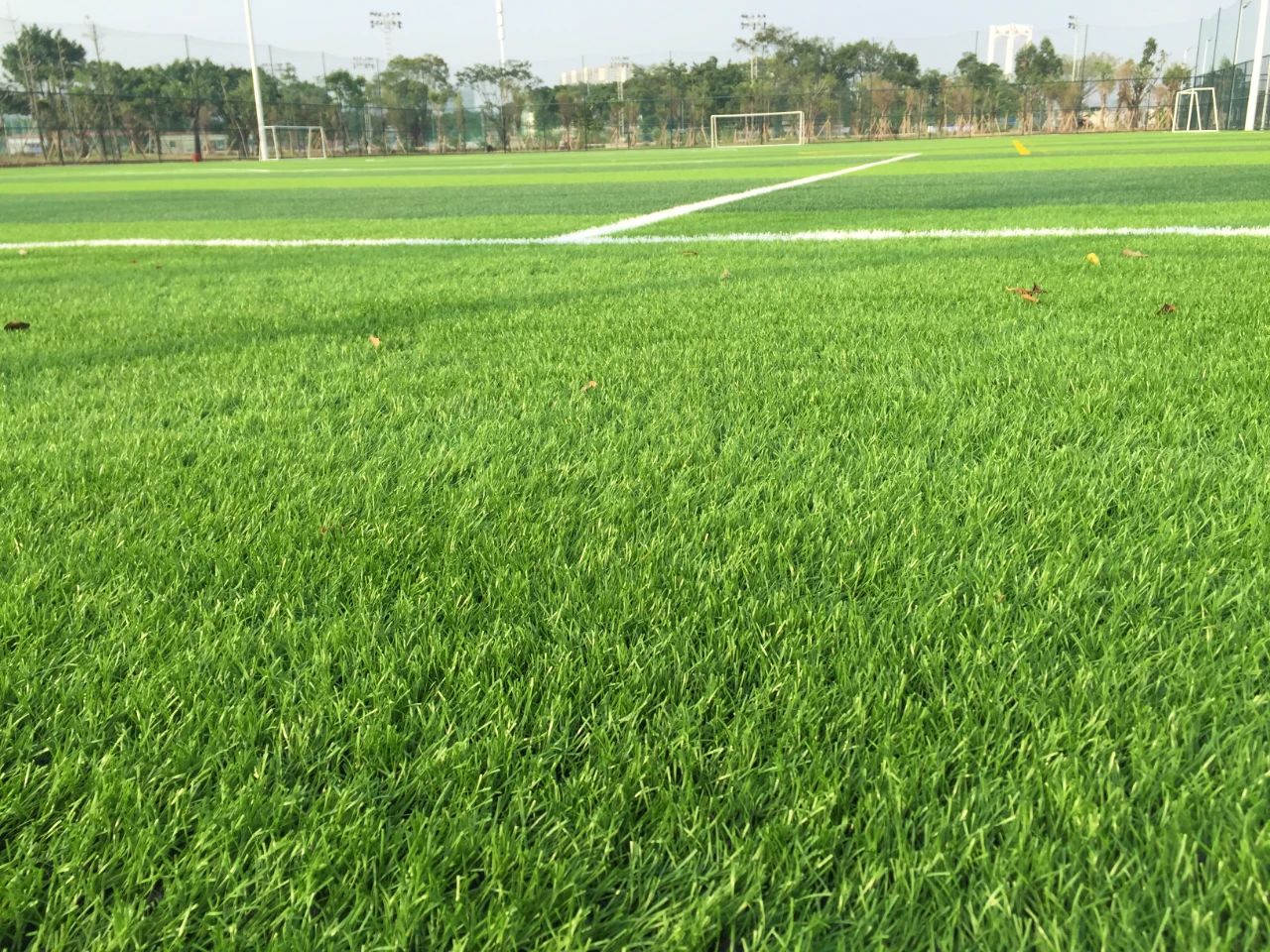 創(chuàng)新不止步，北京天罡新一代光穩(wěn)定劑蟬聯(lián)“榮格技術(shù)創(chuàng)新獎”